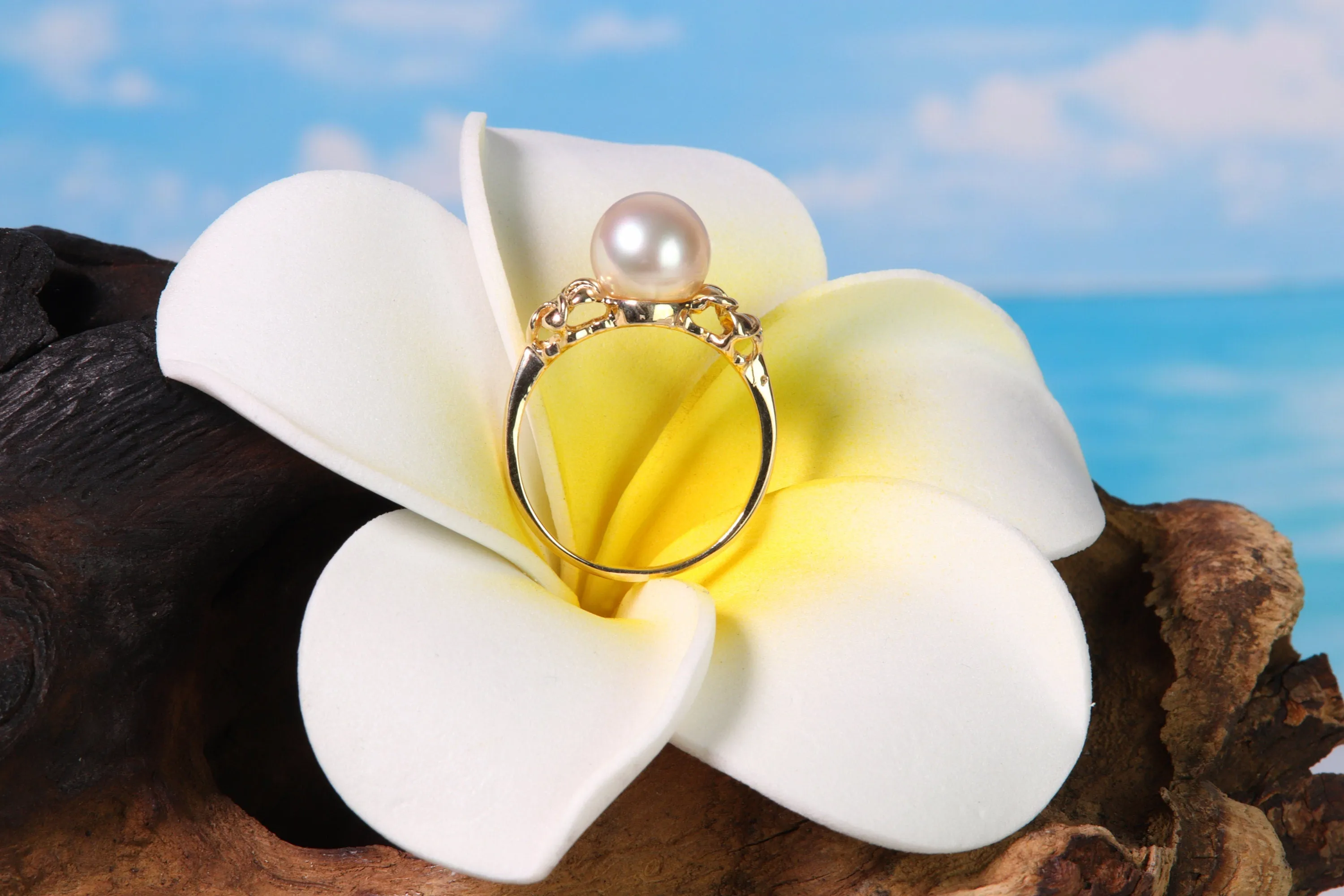 14K Gold Pearl Ring Setting (TPR-645)
