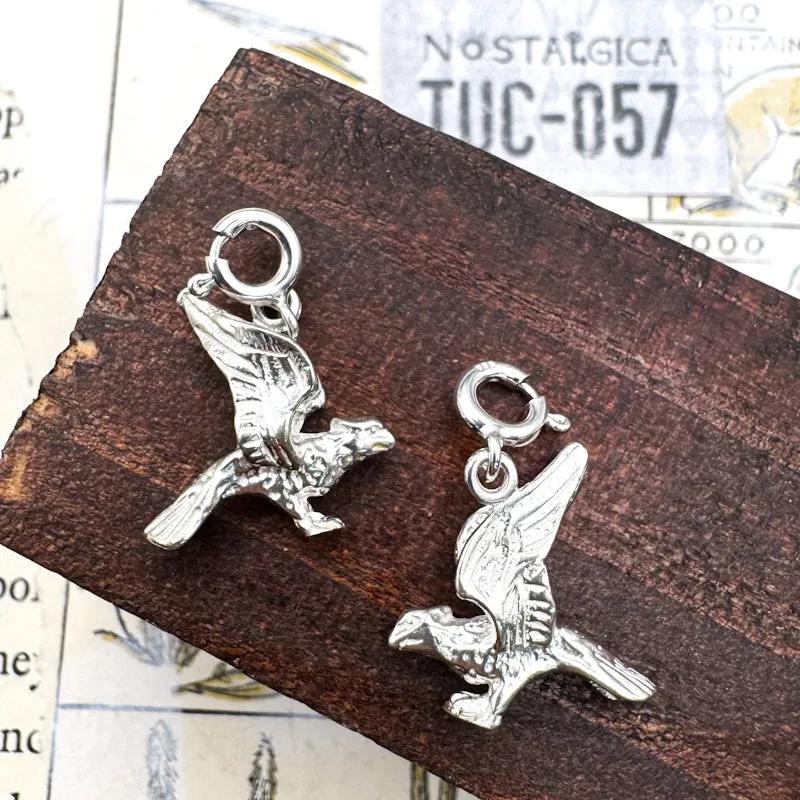 Bird Charm  - Tucson Find
