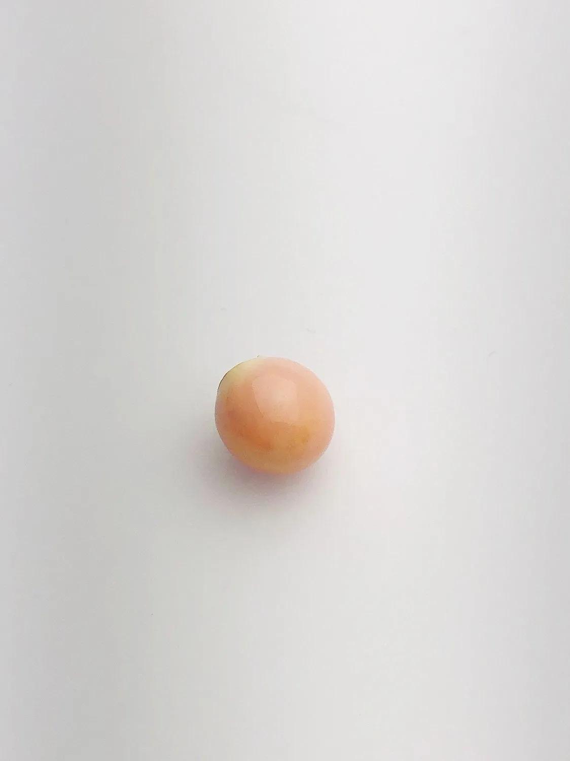Conch Pearl Loose 11.4mm x 10.1mm No. 5