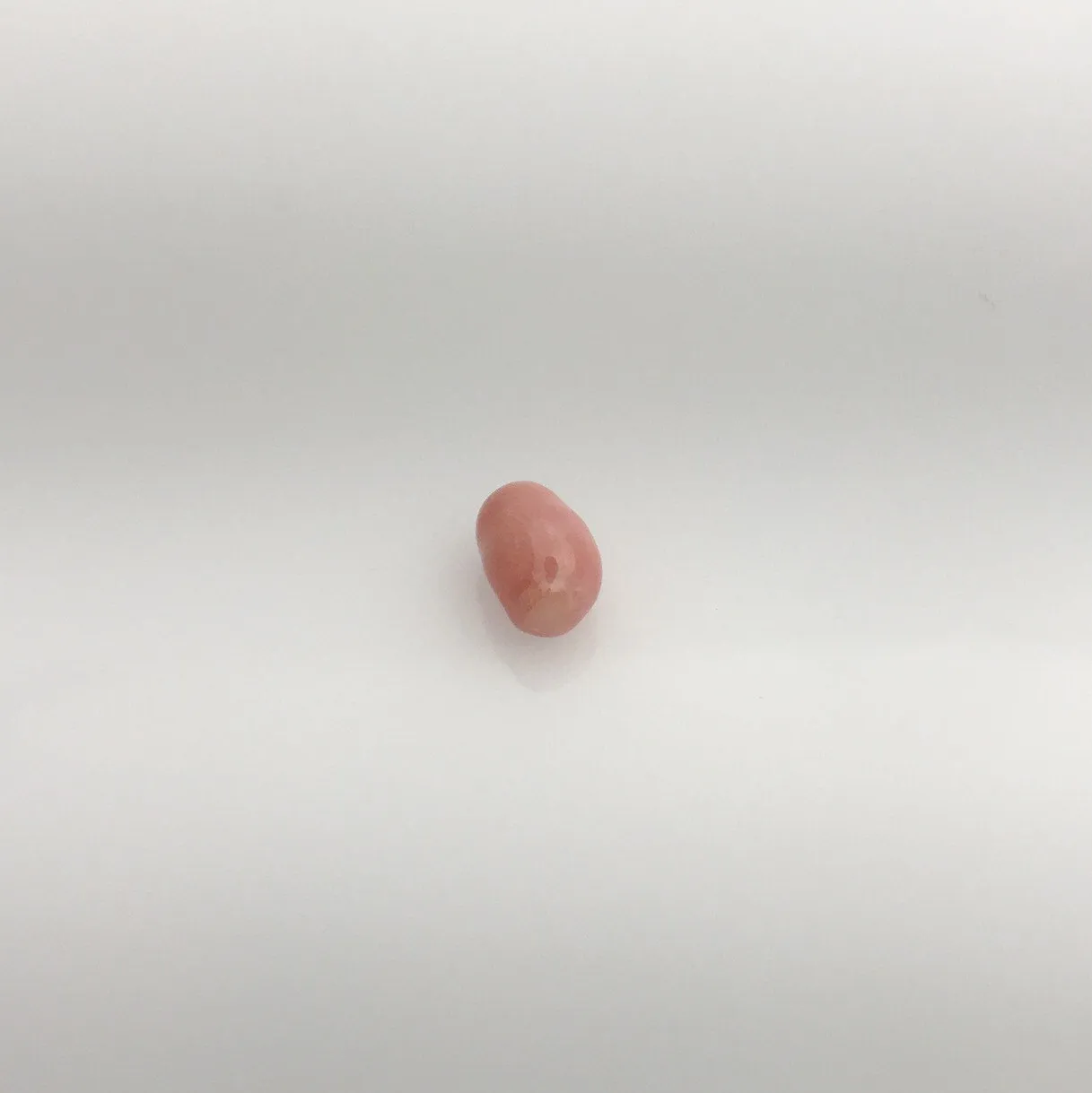 Conch Pearl Loose 5.4mm x 8mm #64