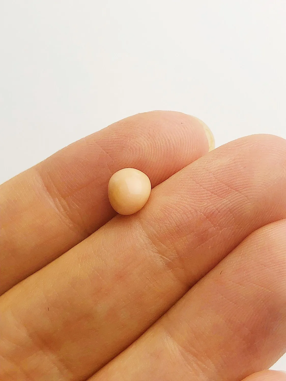 Conch Pearl Loose 7.46mm x 5.6mm No. 30