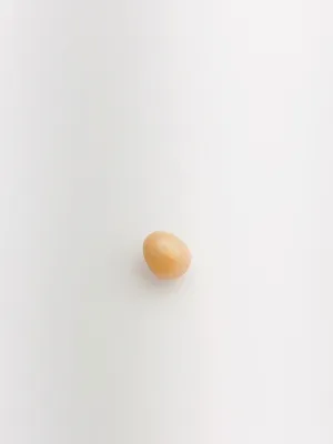 Conch Pearl Loose 7.46mm x 5.6mm No. 30