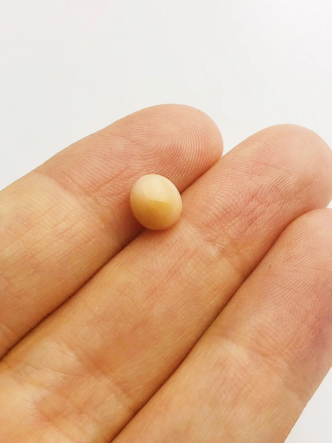 Conch Pearl Loose 7.46mm x 5.6mm No. 30