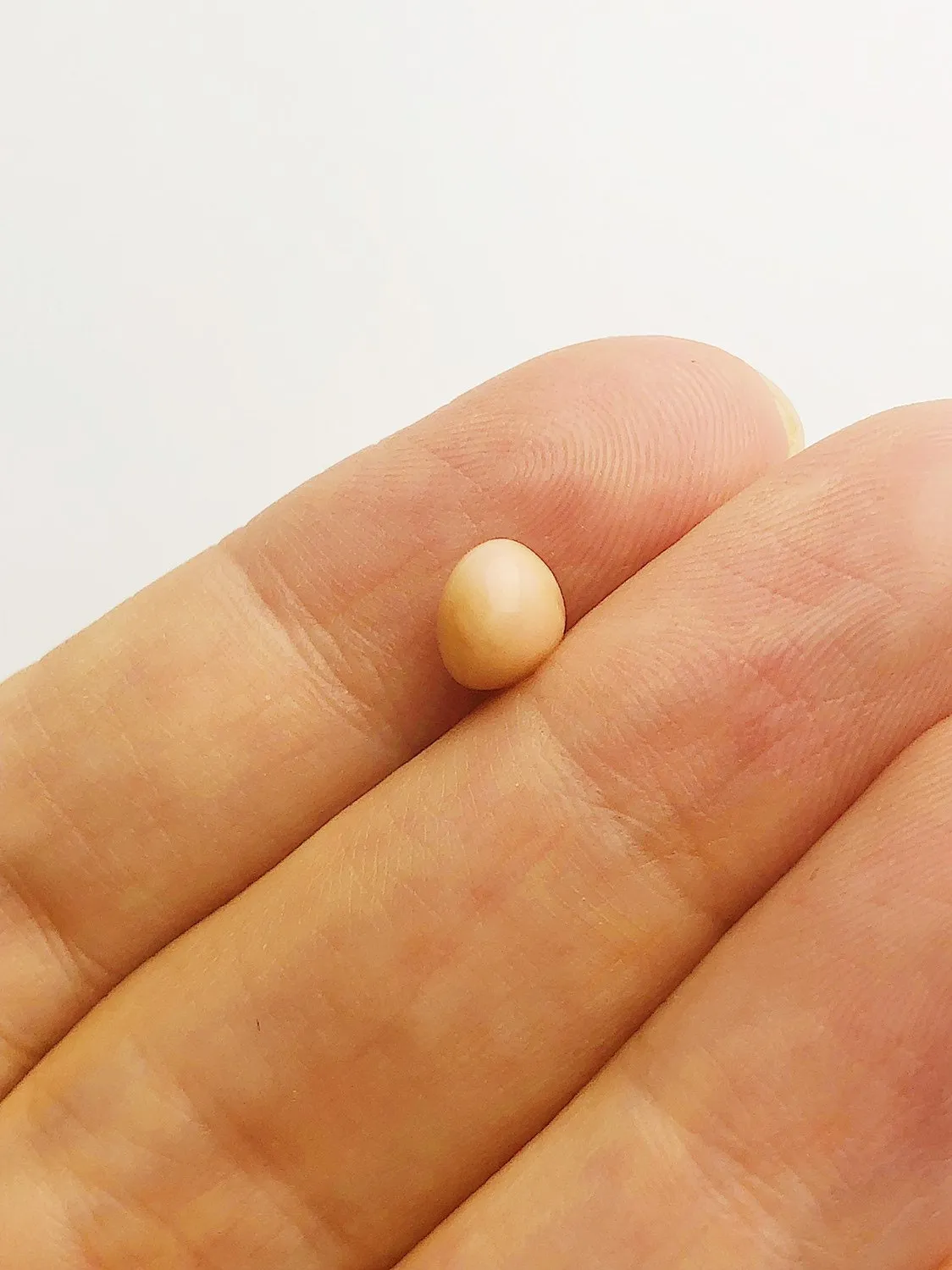 Conch Pearl Loose 7.46mm x 5.6mm No. 30