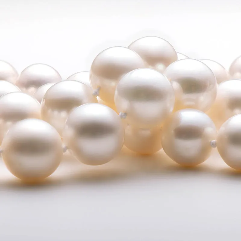 Freshwater Cultured White Pearl Necklace Oval Buckle