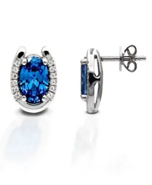 Kelly Herd Blue Stone Horseshoe Earrings