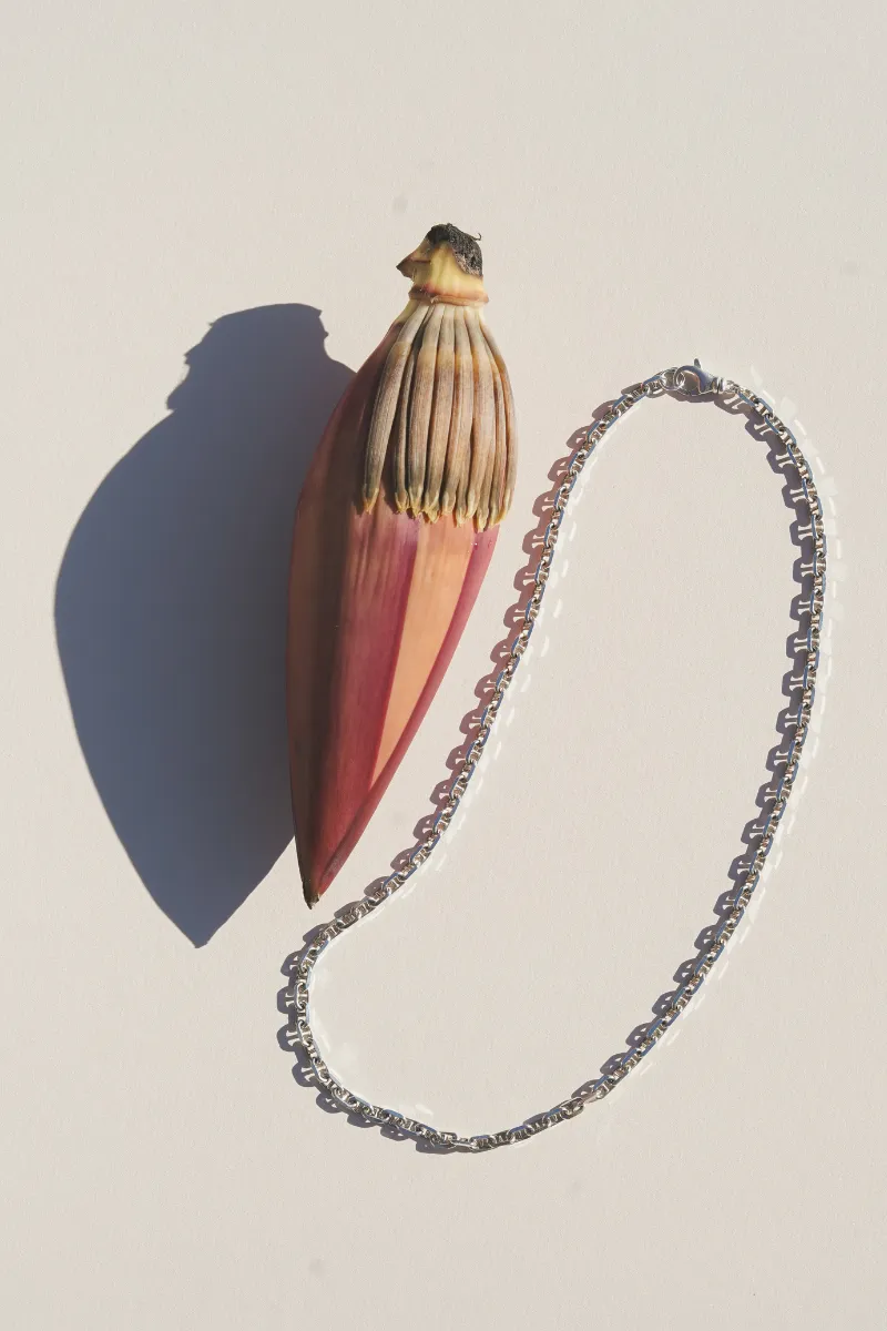 Kevin Chain Necklace