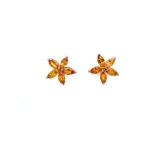 Multi Sapphire Earring in .925 Sterling Silver - KST 57462