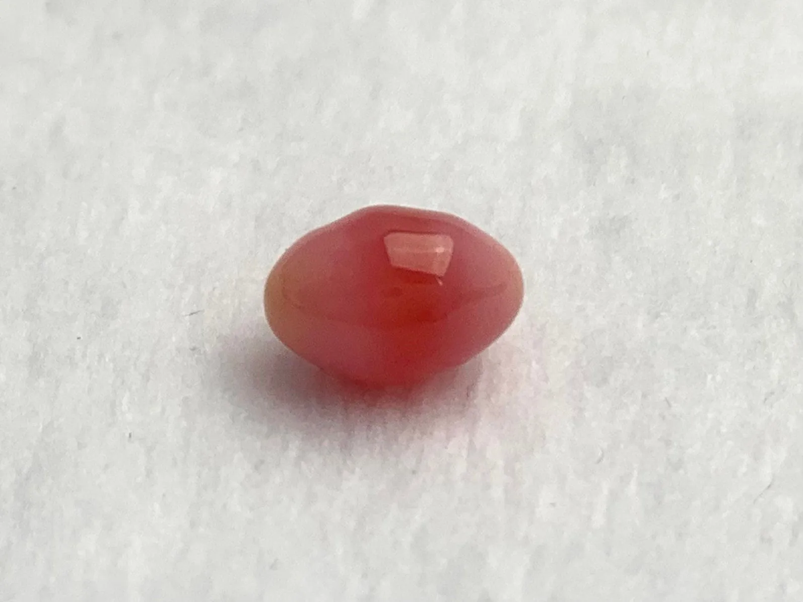 Natural Conch Loose Pearl 2.21ct #40