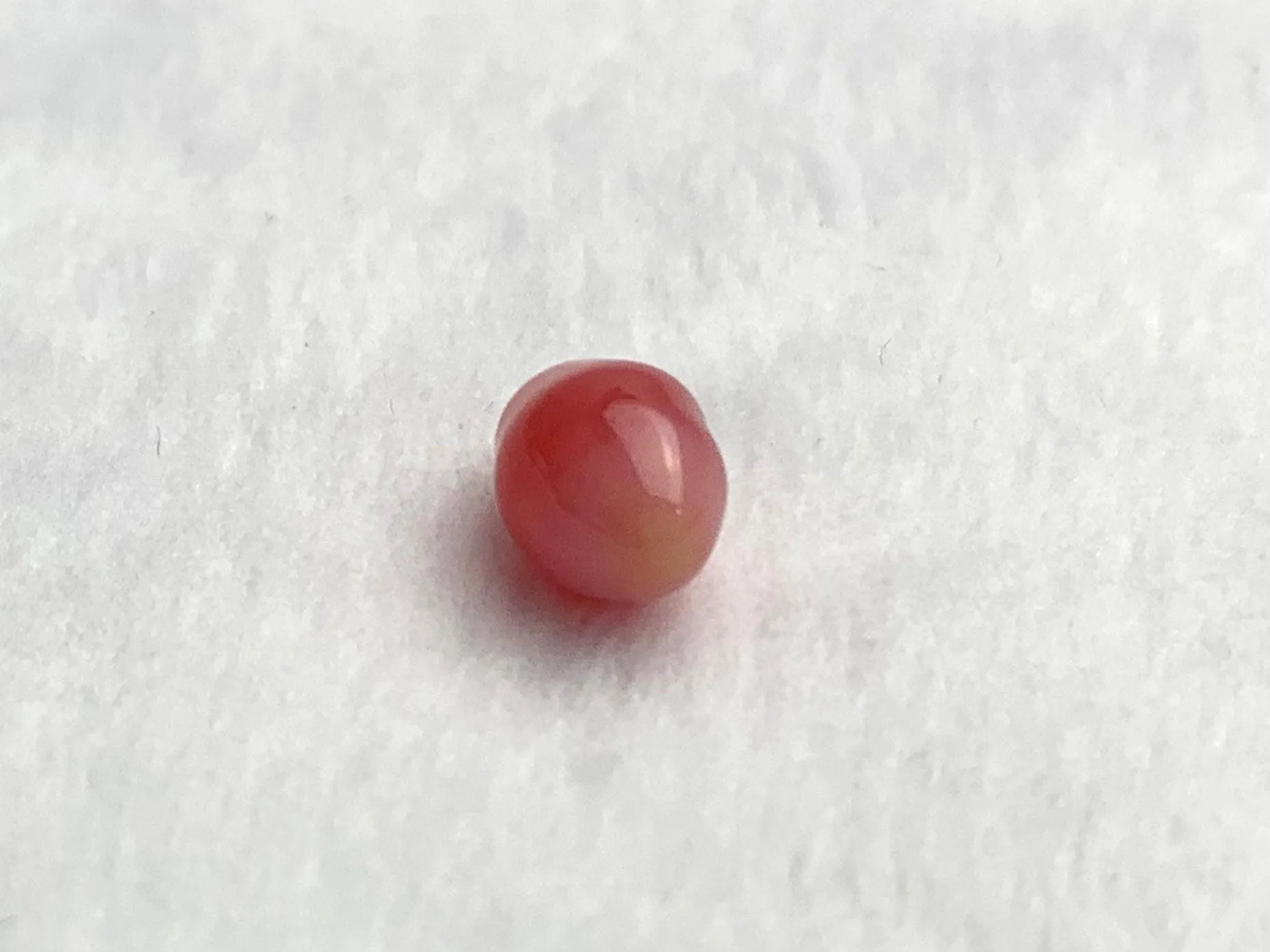 Natural Conch Loose Pearl 2.21ct #40