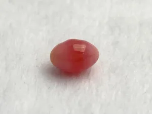 Natural Conch Loose Pearl 2.21ct #40