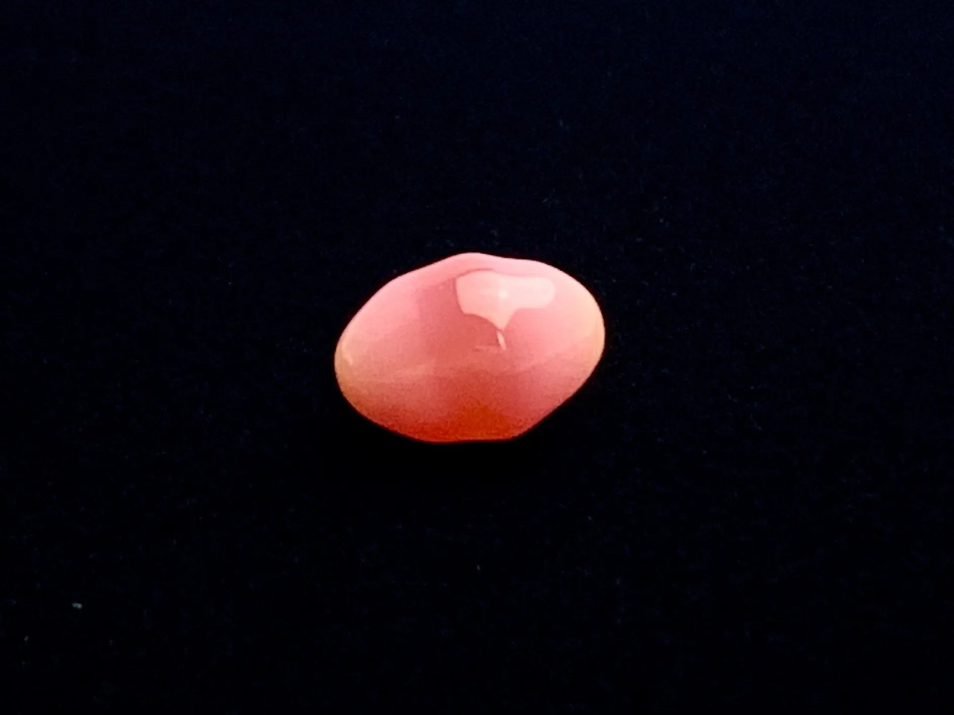 Natural Conch Loose Pearl 2.21ct #40