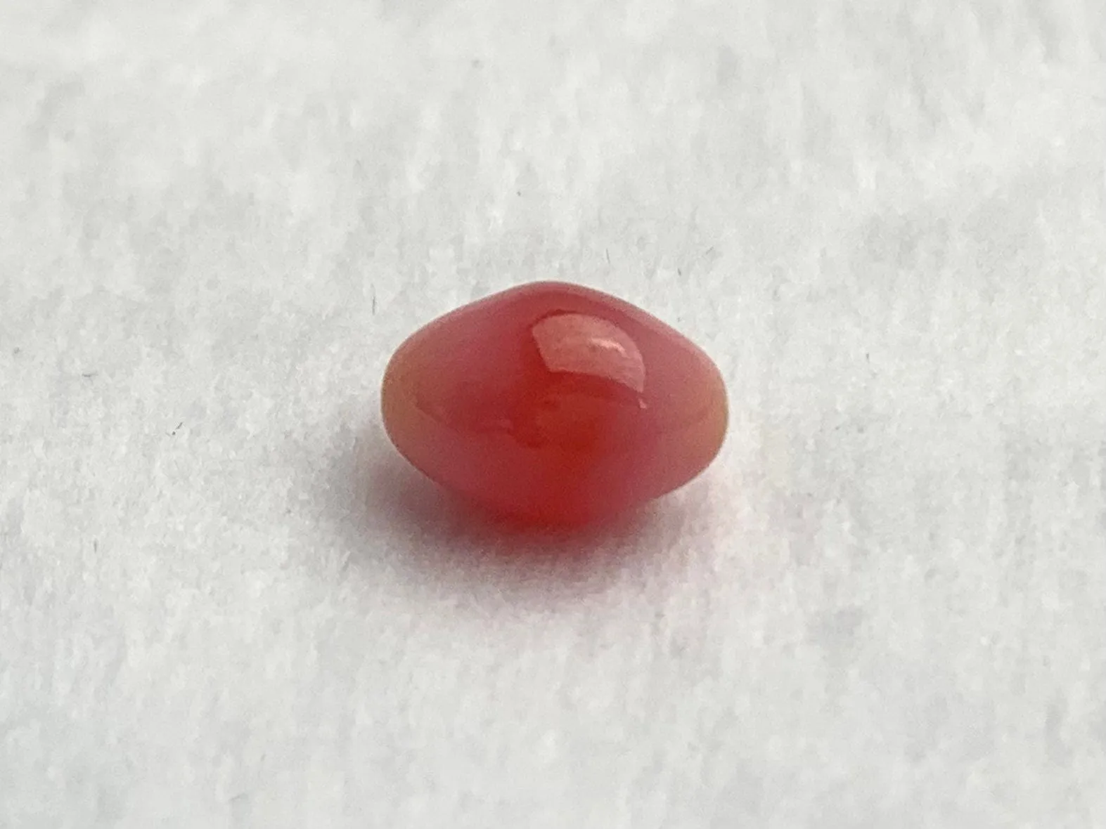 Natural Conch Loose Pearl 2.21ct #40