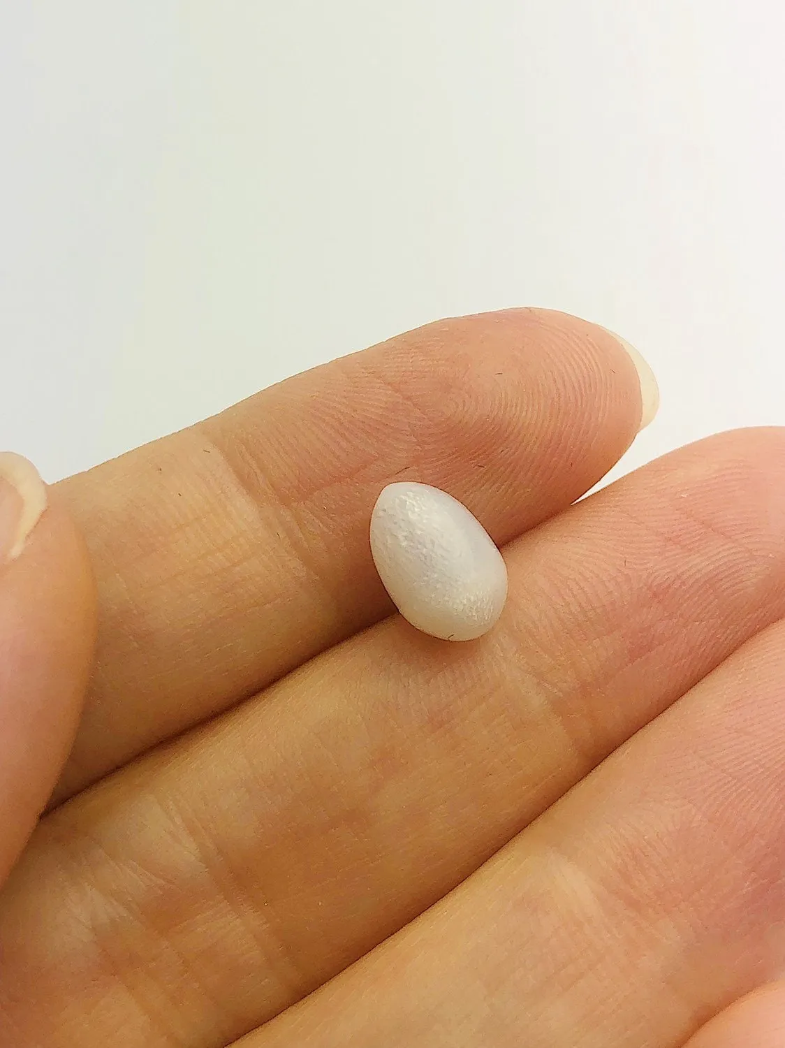 Natural Tridacna White Clam Pearl, 100% Natural Pearl, Loose Pearl, 10.11mm x 6.95mm No. 39