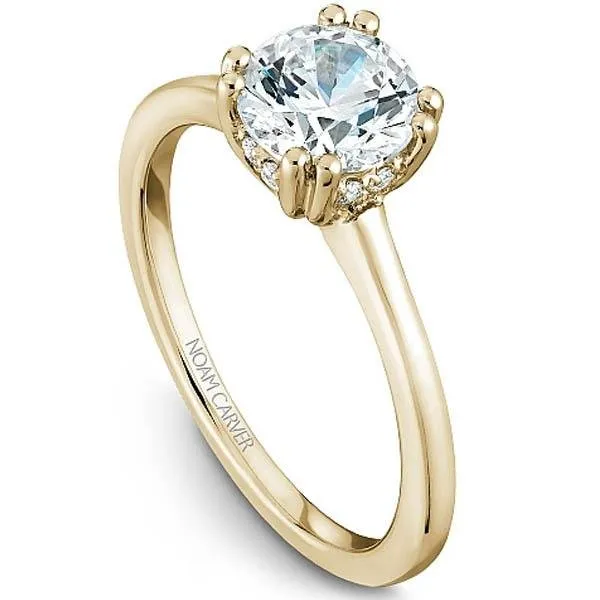 Noam Carver Hidden Halo Solitaire Double Prong Engagement Ring