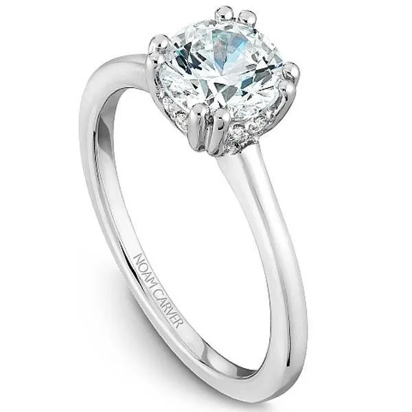 Noam Carver Hidden Halo Solitaire Double Prong Engagement Ring