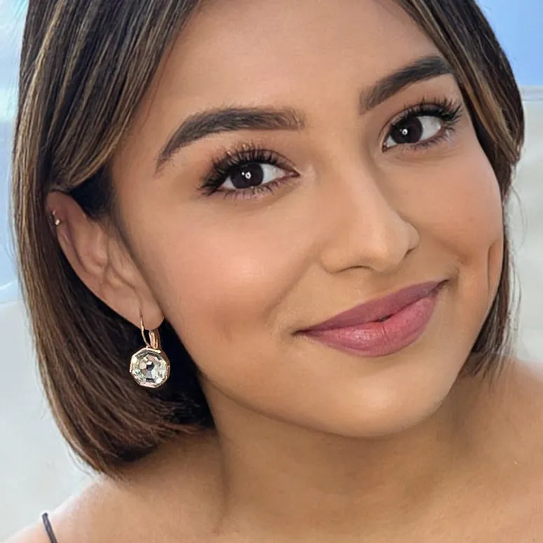 octagon clear crystal earrings