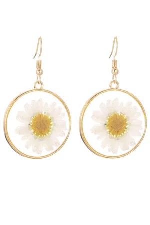 Shasta Daisy Pressed Flower Earrings
