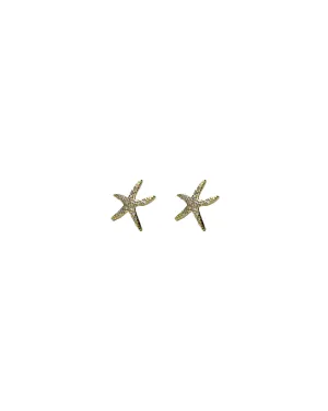 Star Fish Studs Earrings