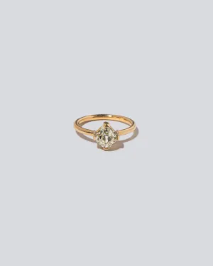 Tendu Ring