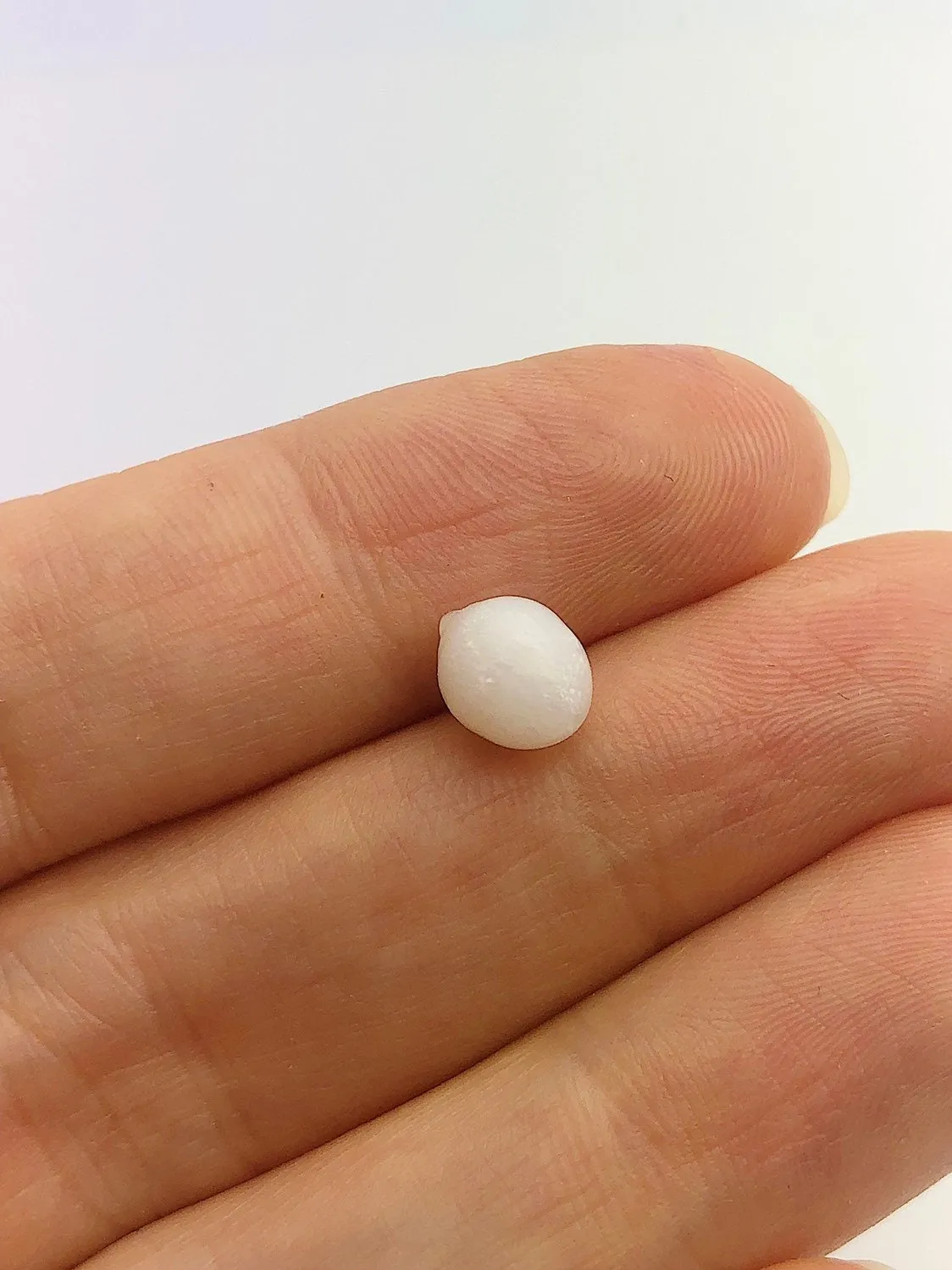Tridacna White Clam Pearl Loose 8.33mm x 6.42mm No. 36